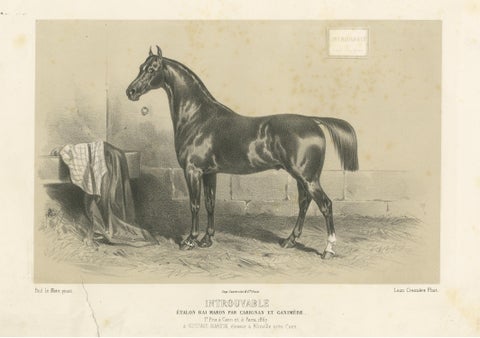 Antique Lithograph of the Horse 'Introuvable', view 3