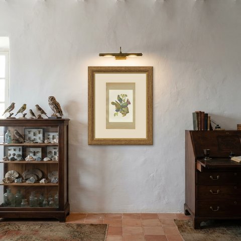 Amazon Parrots, Brazilian Bird Print, Descourtilz, 1944, shown framed in a room