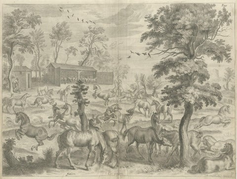 Old and Interesting Rare Print of a Study of Horses, ca.1665, close-up 1
