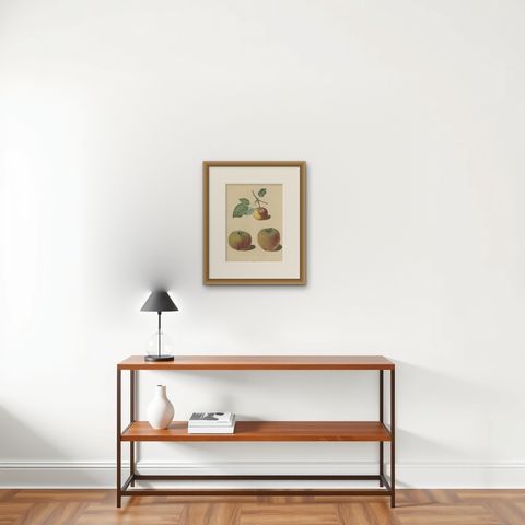 Antique Print of Pomme d'Api, Padly's Pippin and Bigg's Nonsuch Apples, shown framed on a wall