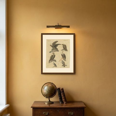 Eagles including the Bald Eagle, Antique Bertuch Print, circa 1805, shown framed on a wall