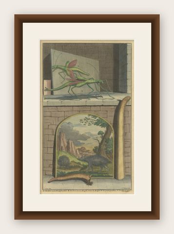 Colored Antique Print of a Grasshopper, Hedgehogs and the Horn of Doe, shown framed