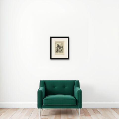 Antique Print of the Lesser Spot-Nosed Monkey by Buffon '1755', shown framed on a wall