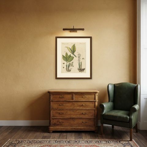 Zedoary and Grains of Paradise Spice Plants, Antique Bertuch Print, circa 1805, shown framed in a room