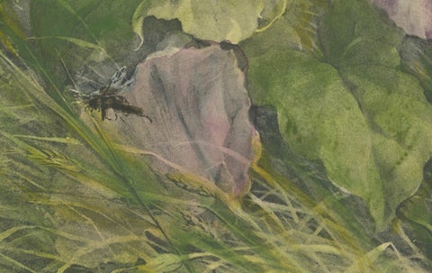 Morning Glories with Butterfly - Giacomelli’s Nature Print, Circa 1891, close-up 2