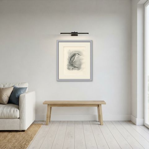 Night Heron, Antique Bird Print after Lilian Medland, circa 1909, shown framed in a room