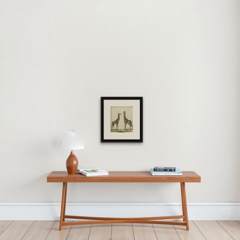 Antique Handcolored Engraving of Giraffes, c.1800, shown framed on a wall