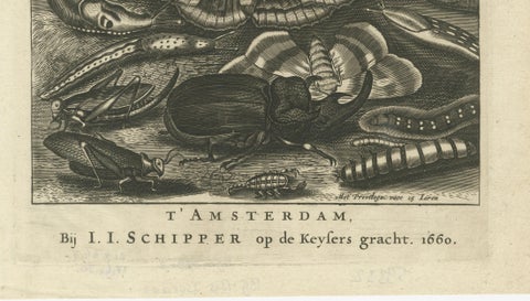 Natural History Title Page, Insects & Serpents, Jan Jonston, Amsterdam 1660, close-up 5