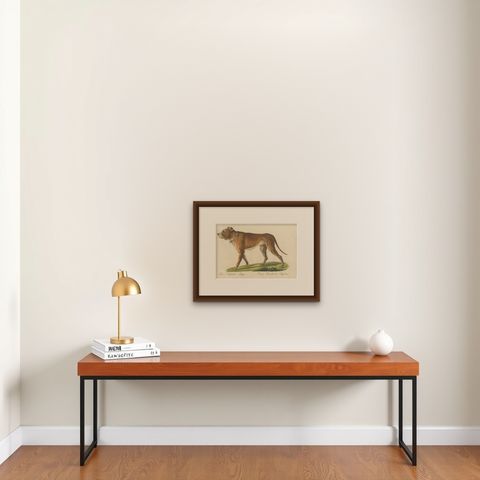 Antique English Mastiff Dog Lithograph by Karl Joseph Brodtmann, 1816, shown framed on a wall