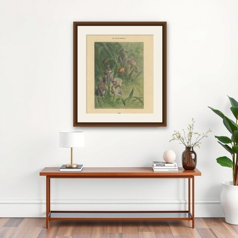 Delicate Irises with Birds - Old Giacomelli Botanical and Ornithological Print, shown framed on a wall