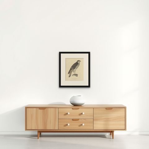 Antique Bird Print of the African Hawk-Eagle by Severeyns 'c.1850', shown framed on a wall