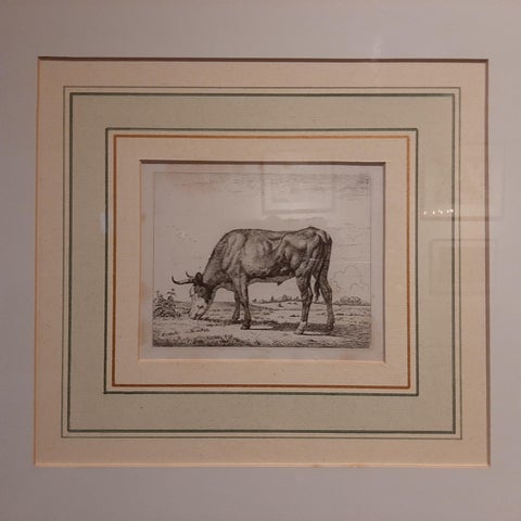 Antique Etching of a Grazing Cow by Van Troostwijk, Framed, 1810, view 2