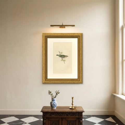 Goldcrest on a Conifer Twig, Hand Colored Bird Print, Morris, 1896, shown framed on a wall