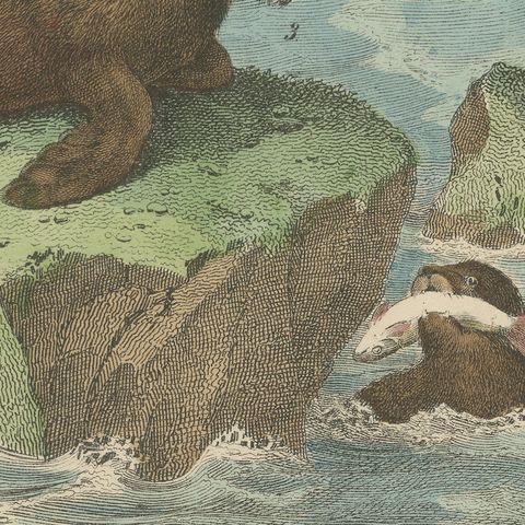 Antique Whaling Scene Print with Bowhead Whale, Dolphin and Sea Lion, circa 1890, close-up 4