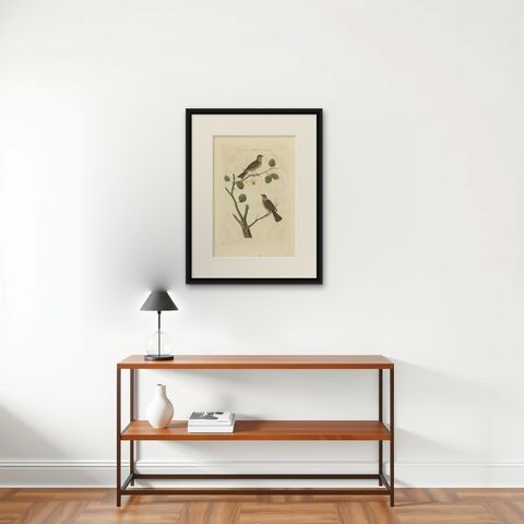 Antique Bird Print of the Dunnock by Sepp & Nozeman, 1829, shown framed on a wall