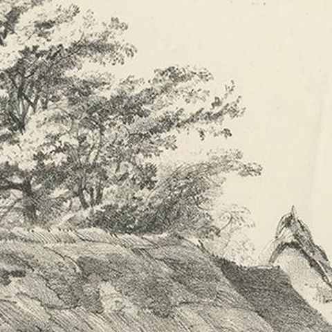 No. 7 Antique Print of Cattle by Cooper, close-up 1