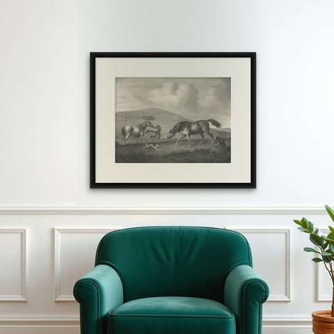 Original Antique Lithograph of a Horse Showing the Passion 'Affection', 1827, shown framed on a wall