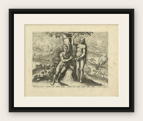 Antique Print of Adam and Eve Eating the Apple from the Tree '1674', shown framed
