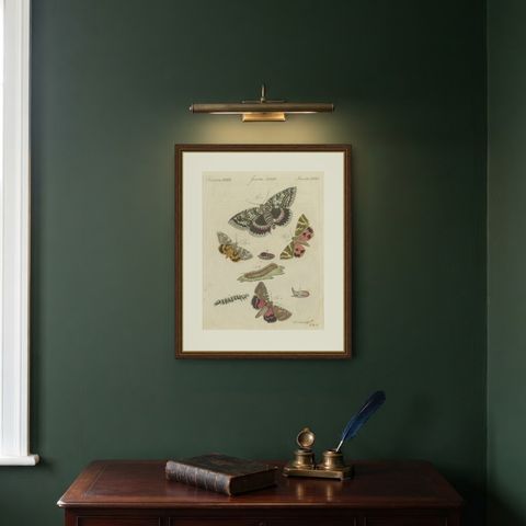 Underwing and Tiger Moths with Caterpillars, Antique Bertuch Print, circa 1805, shown framed on a wall