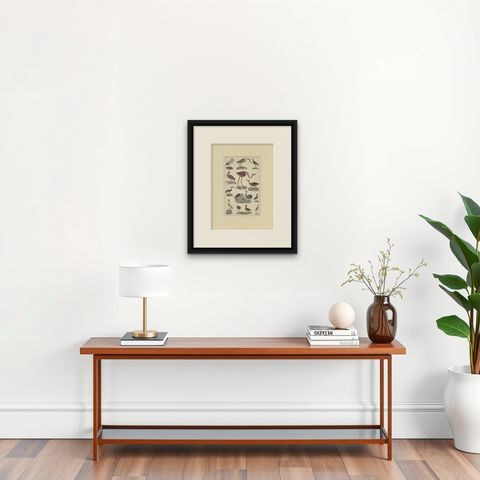 Antique Hand-Coloured Bird Engravings from Goldsmith’s Animated Nature, ca.1852, shown framed on a wall