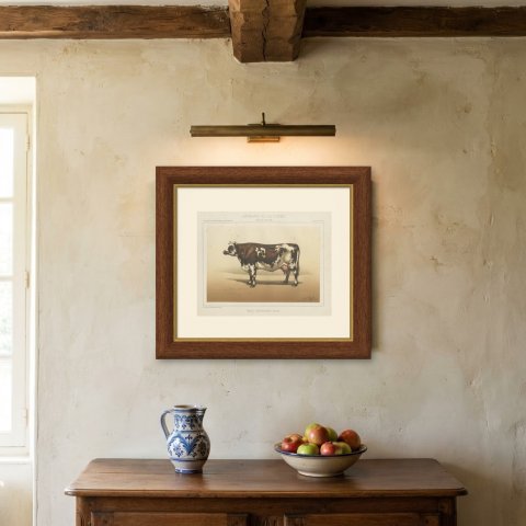 Normandy Cow, French Cattle Breed, Antique Chromolithograph by Borie, 1863, shown framed on a wall