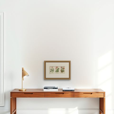 Heritage Blooms: A Triptych of Geranium Varietals, 1896, shown framed on a wall