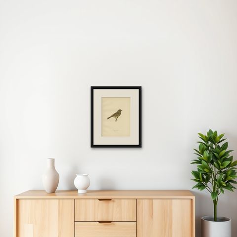 Antique Bird Print of The Yellowhammer by Von Wright, 1927, shown framed on a wall