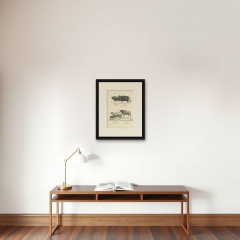 Antique Print of Oxen and Sheep by Schinz, 'c.1830', shown framed on a wall