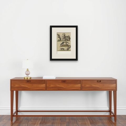 Antique Monkeys & South American Anteaters Engraving, Bertuch, c.1800, shown framed on a wall
