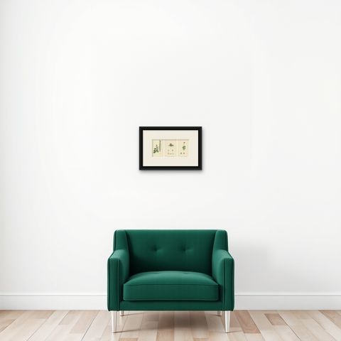 Hand-Colored Botanical Engravings of Naval-wort and Mountain Saxifrages, 1902, shown framed on a wall