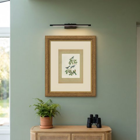 Tanagers, Honeycreepers and Berries, Brazilian Bird Print, Descourtilz, 1944, shown framed on a wall