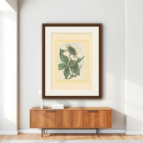 1858 Hand-Colored Lithograph of Flower Beetles on a Blossom, shown framed on a wall
