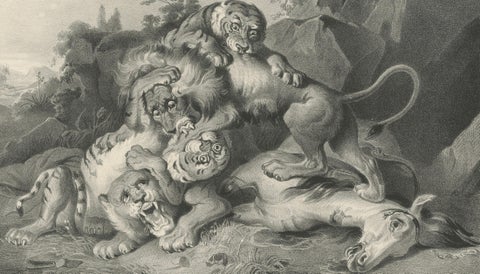 Raden Saleh Tigers & Lions Fight Horse Lithograph, The Hague c.1845, close-up 3