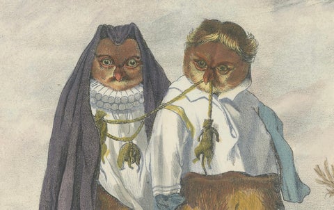 19th Century Hand-Colored Lithograph of Owls from an Old Dutch Drawing, 1860, close-up 3