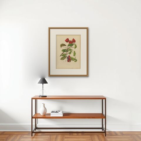 Original Antique Botanical Chromolithograph of Chinese Sterculia, c. 1880, shown framed on a wall