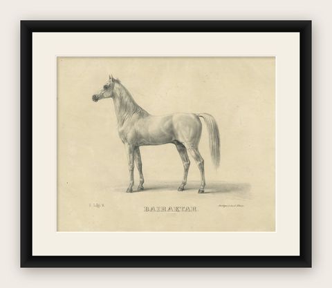 Antique Arabian Horse Lithograph “Bairaktar” by August Jäger, 1846, shown framed