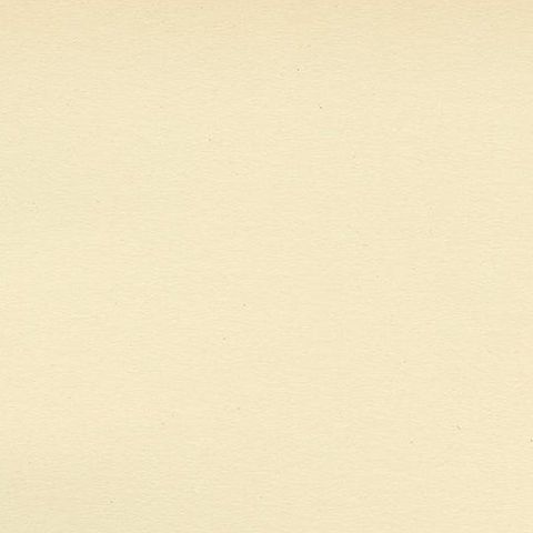 Antique Bird Print of a Female Eurasian Wigeon, '1929', close-up 1