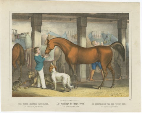 Antique Horse Stable Lithograph - The Young Master’s Favorites, c.1827, view 2