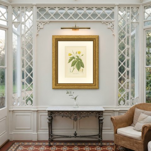 Chelidonium Japonicum, Yellow Flowered Poppy Chromolithograph, 1859, shown framed on a wall