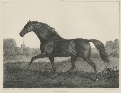 Volunteer & Selim, Pair of Antique Thoroughbred Horse Lithographs, c.1840, close-up 3