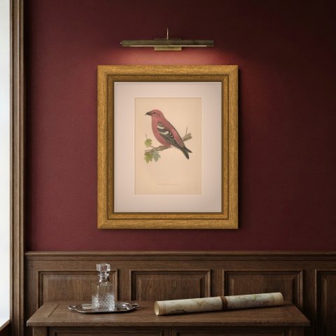 Two Barred Crossbill on a Leafy Branch, Morris Bird Plate, 1896, shown framed on a wall