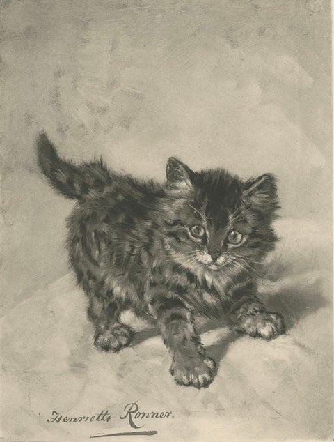 Rascal - A Playful Antique Cat Print by Henriette Ronner, 1894, close-up 4