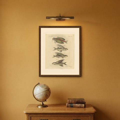 Flying Fish with a Flying Gurnard, Antique Bertuch Print, circa 1805, shown framed on a wall