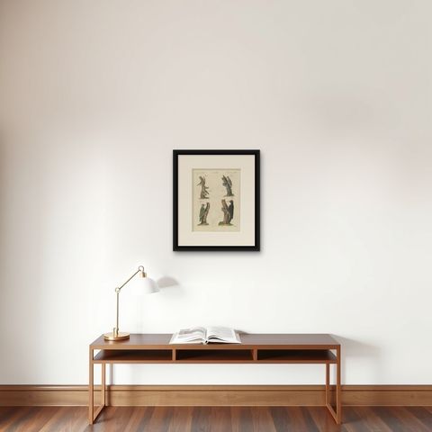 Black and Green Woodpeckers with Nuthatch, Antique Bertuch Print, circa 1805, shown framed on a wall