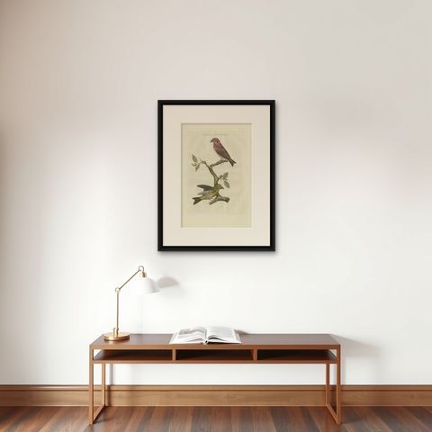 Antique Bird Print of the Crossbill by Sepp & Nozeman, 1797, shown framed on a wall