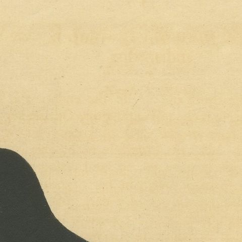 Antique Hand-Colored Engraving of The Blackbird by Eleazar Albin, circa 1730, close-up 6