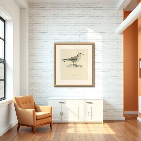 Old Bird Print of Gull Named the Black-Legged Kittiwake, 1929, shown framed in a room