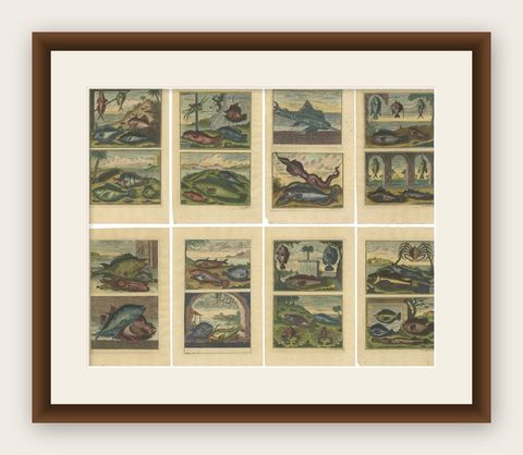 Set of 8 Colored Antique Prints of Various Fishes and Crustaceans, shown framed