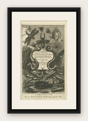 Natural History Title Page, Insects & Serpents, Jan Jonston, Amsterdam 1660, shown framed