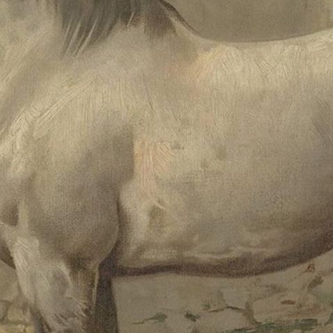 Antique Print of a Breton Horse by O. Eerelman, 1898, close-up 2